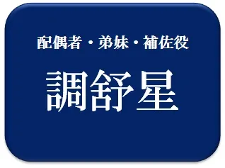中島健人,小芝風花,相性診断