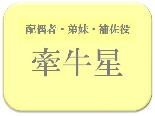ありさ,占い,算命学