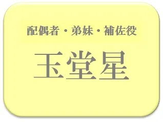 宮崎美子,占い,算命学