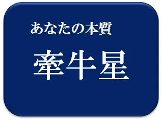 中島健人,小芝風花,相性診断