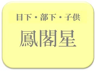 宮崎美子,占い,算命学