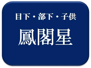 宮崎美子,占い,算命学