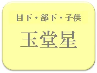 小熊樹,占い,算命学