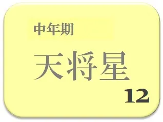 宮崎美子,占い,算命学