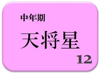 宮崎美子,占い,算命学