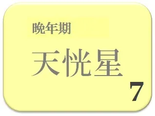 ももこ,占い,算命学