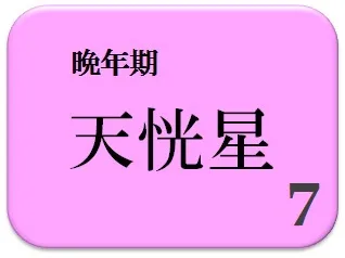 ももこ,占い,算命学