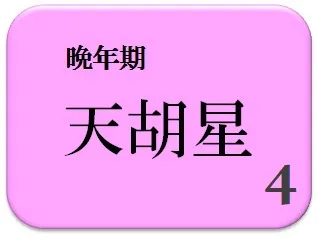 ナナコ,占い,算命学